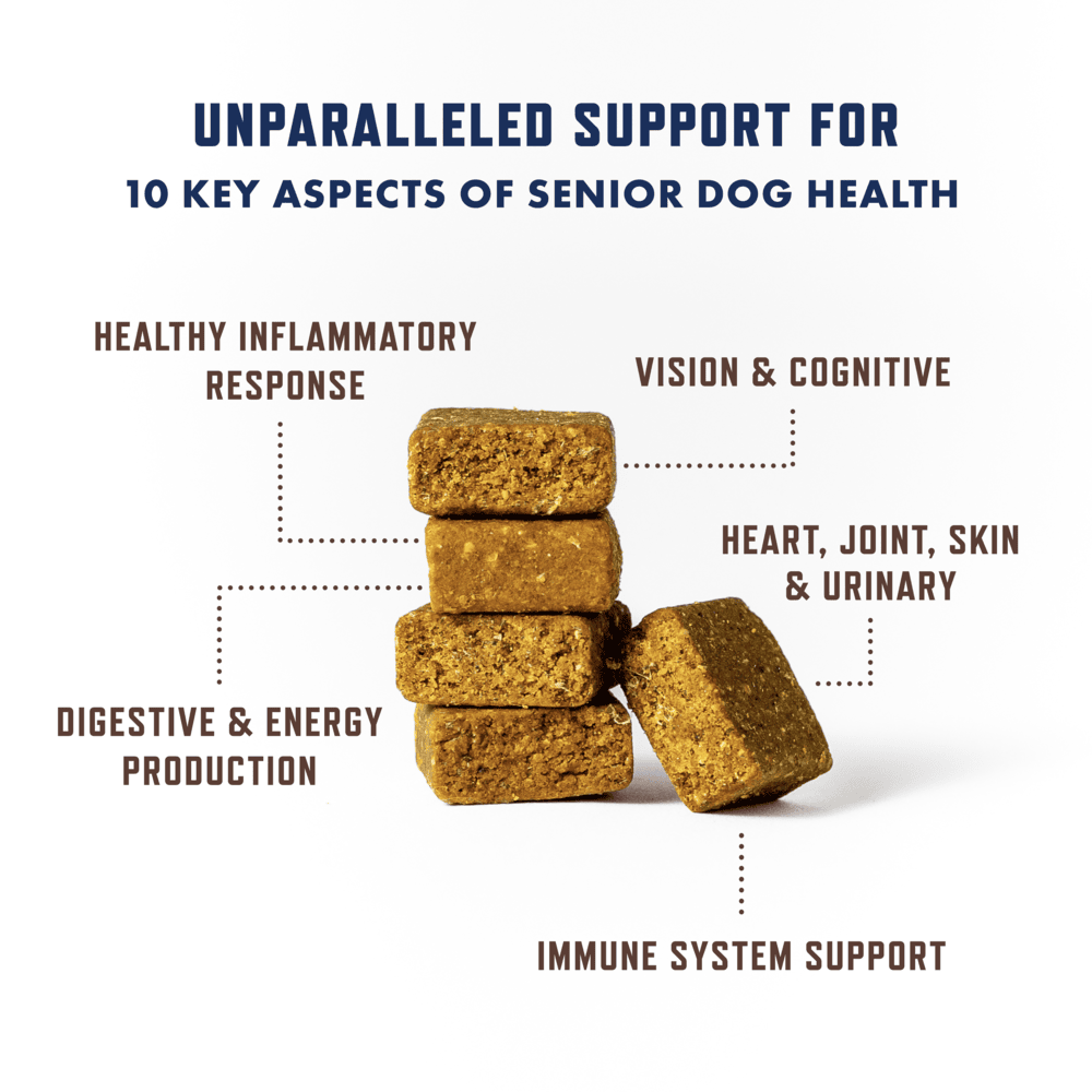 Rocco & Roxie 10-in-1 Senior Dog Supplement, Immune Support, Duck Flavor, 60 Chews