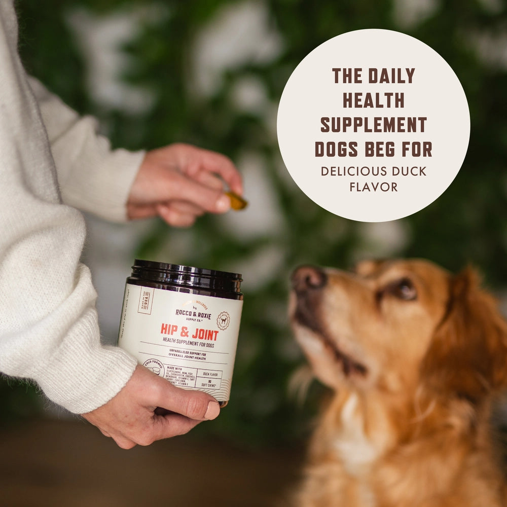 Rocco Roxie Hip Joint Dog Chew 90 Count Rocco Roxie Supply Co