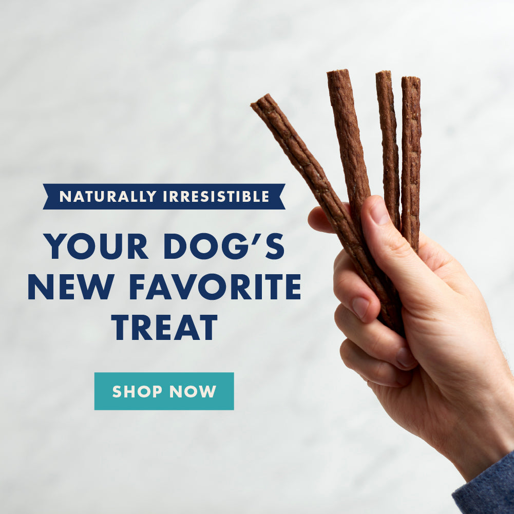 rocco and roxie jerky