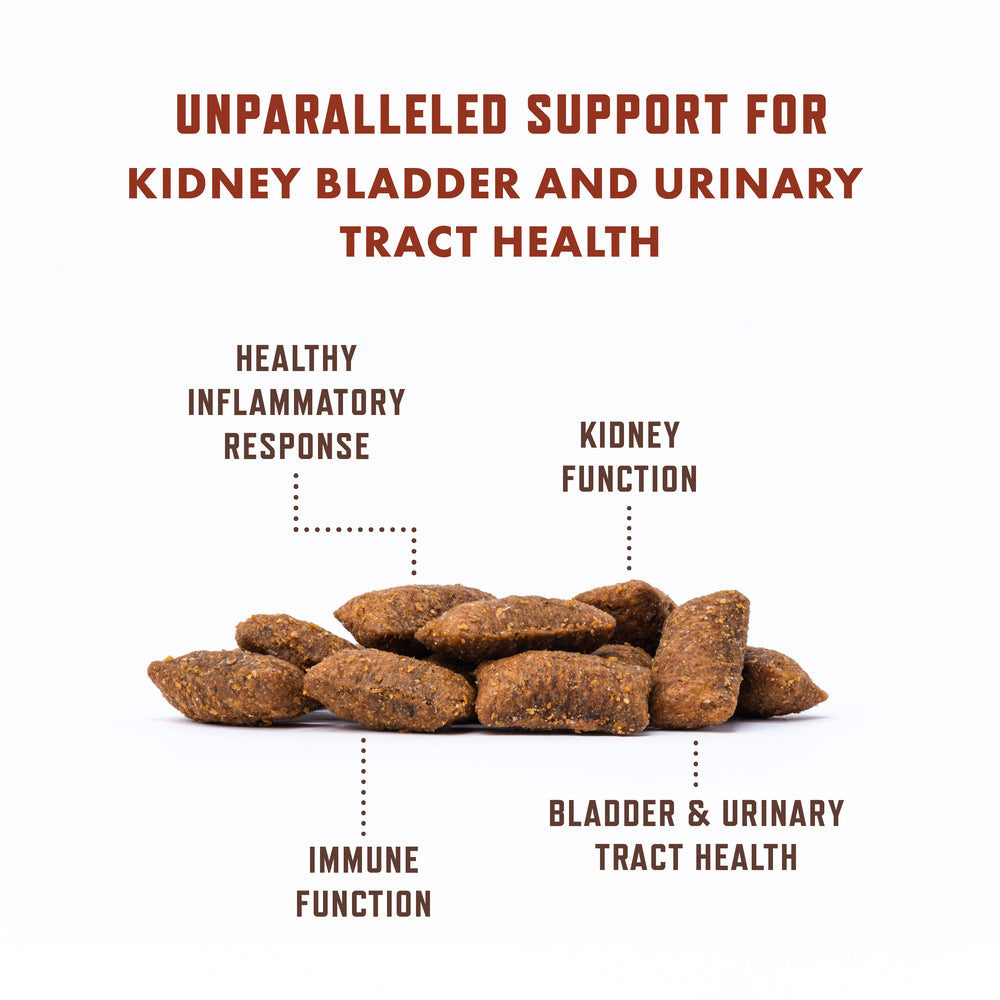 Illustration of Cat Urinary Incontinence Relief With Tamarack