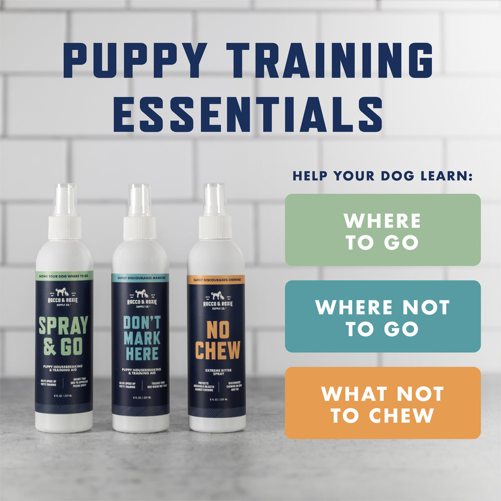 Spray & Go Attractant Puppy Housebreaking & Training Aid