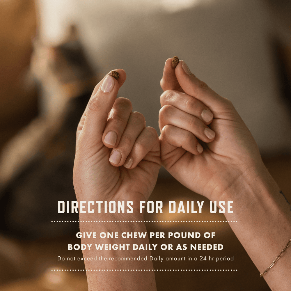 Rocco & Roxie® Calming Cat Chew