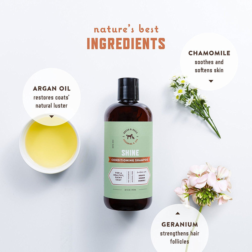Shine Conditioning Shampoo