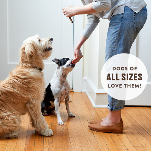 Jerky Sticks Dog Treats
