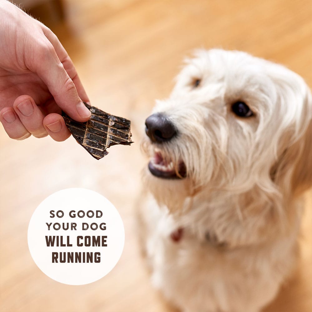 Gourmet Liver Treats for Dogs